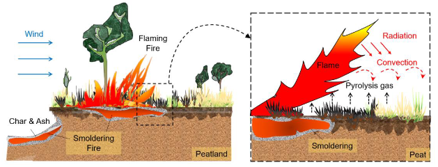 perbedaan kebakaran hutan dan lahan