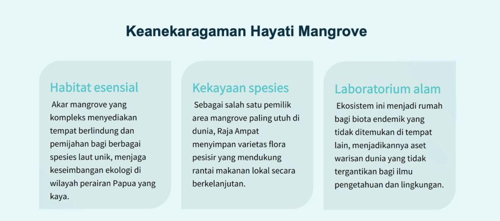 fungsi hutan mangrove di raja ampat