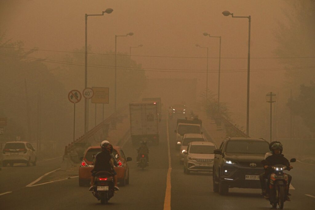 dampak kebakaran hutan dan lahan terjadi pencemaran udara.jpg