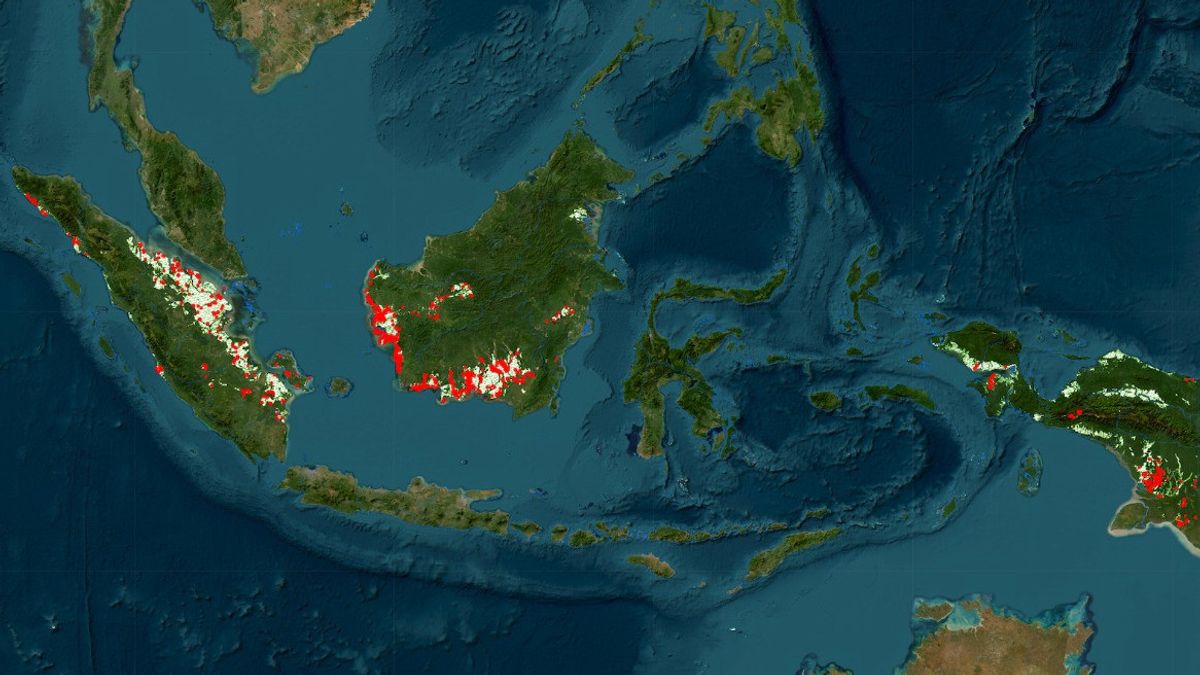 karhutla di indonesia 2026